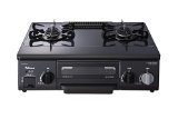 IC-N30B-R LP