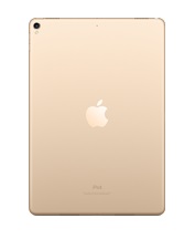 iPad Pro 10.5C` Wi-Fi 64GB MQDX2J/A [S[h]