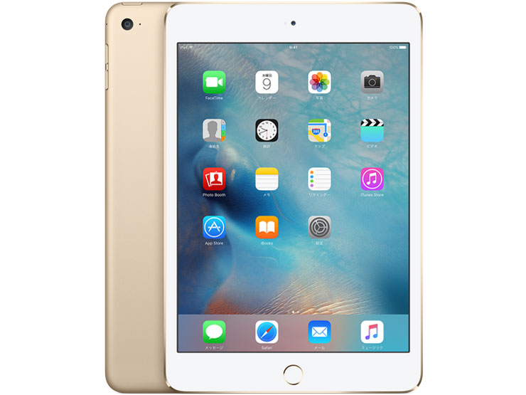 iPad mini 4 Wi-Fif 16GB MK6L2J/A [S[h]